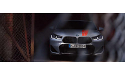 THE X2